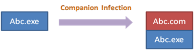 Companion Infection