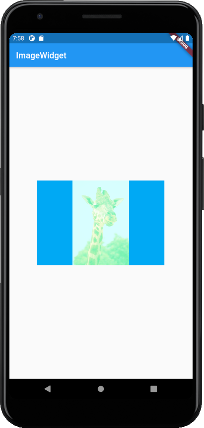 image-widget-screen