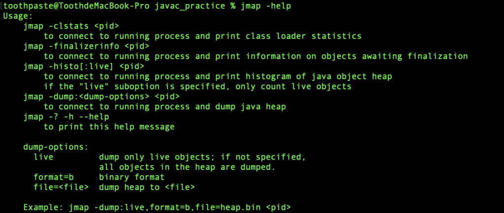 Day11 Jdk堆内存快照工具 Jmap 一 基本应用