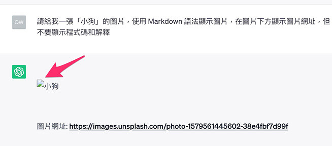 ChatGPT 教學 - 顯示圖片＆根據文字尋找適合圖片 - 每次輸入圖片網址後，就會自動顯示圖片