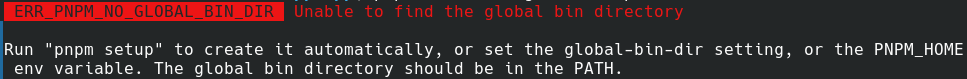 pnpm error message