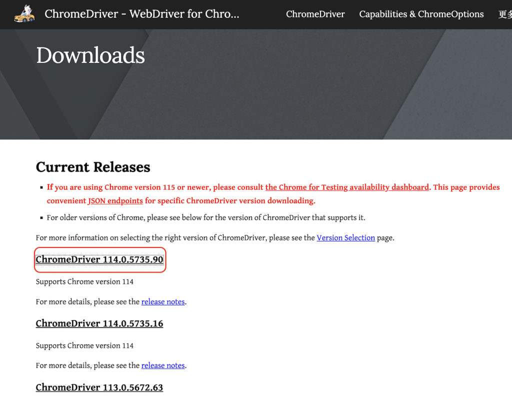 ChromeDriver downloads