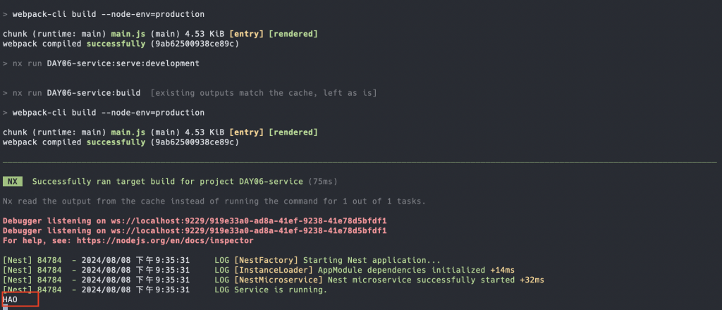 NestJS NATS Transporter Test Result3