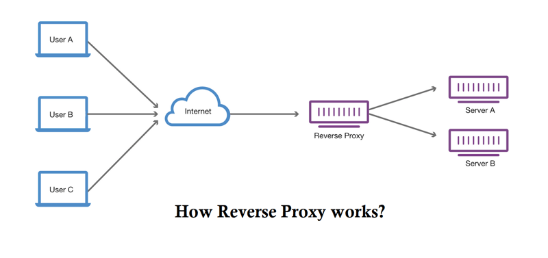 Forawrd Proxy and Reverse Proxy in system design | Fandix's Blog