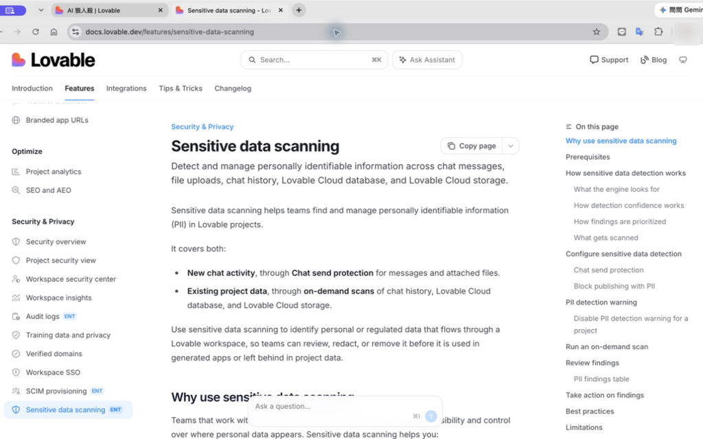 Lovable Sensitive Data Scanning 文件中的 PII 掃描說明