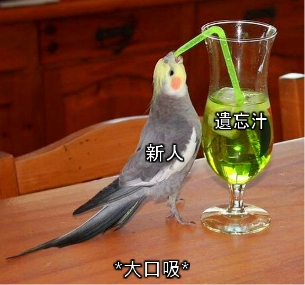 https://ithelp.ithome.com.tw/upload/images/20260805/20181842ycqGZM2lsp.png