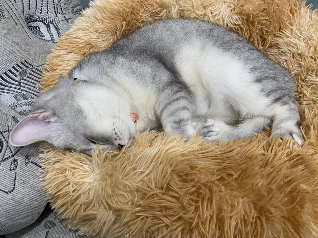 https://ithelp.ithome.com.tw/upload/images/20260902/20183878UmTqc6b429.jpg