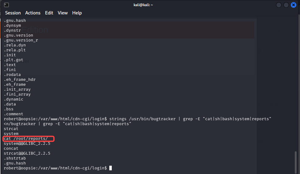在 bugtracker 中找到不安全的 cat 呼叫
