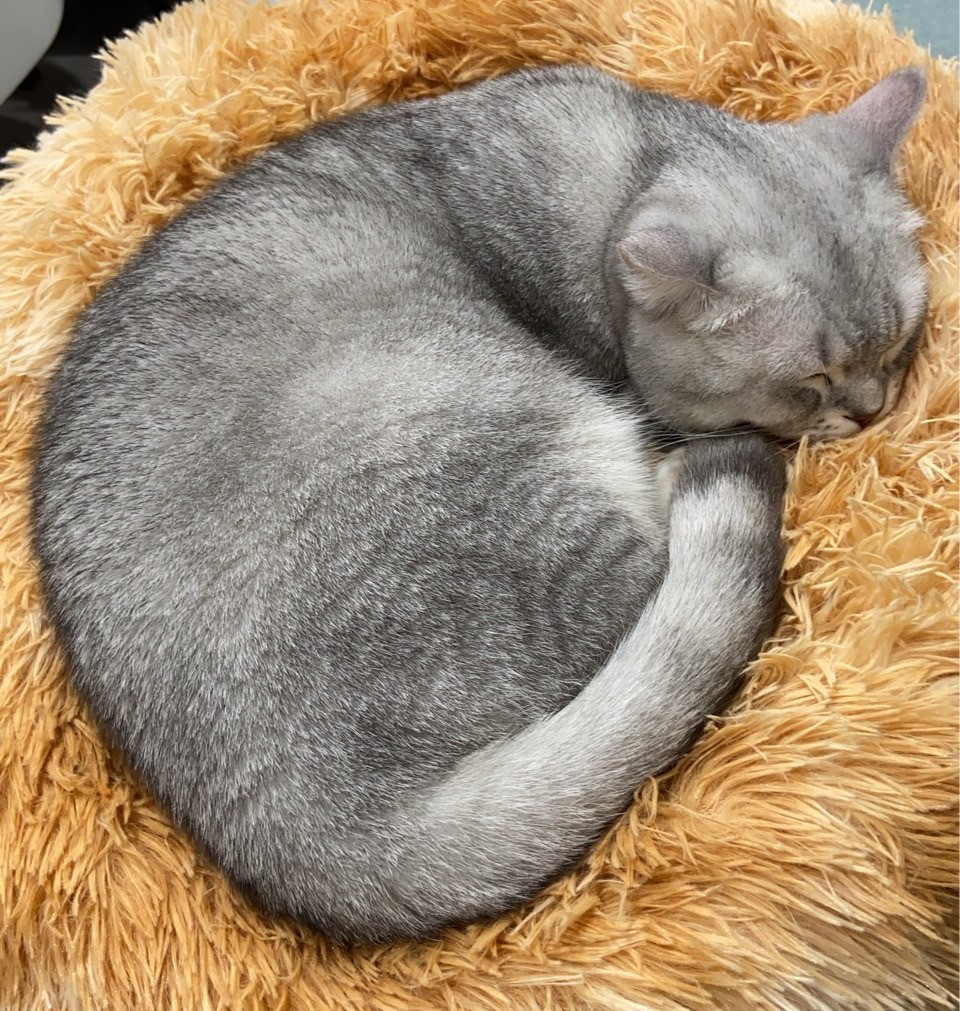 https://ithelp.ithome.com.tw/upload/images/20260908/20183878HMzj0sxulO.jpg