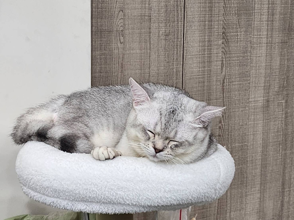 https://ithelp.ithome.com.tw/upload/images/20260911/20183878nFJ0BFysB5.jpg