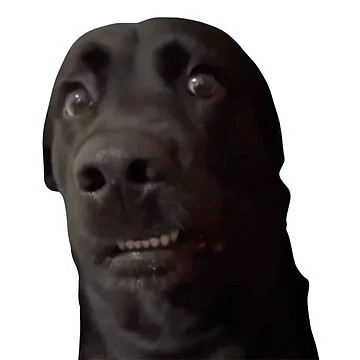 https://ithelp.ithome.com.tw/upload/images/20260920/201602791RMrBAd82Q.jpg
