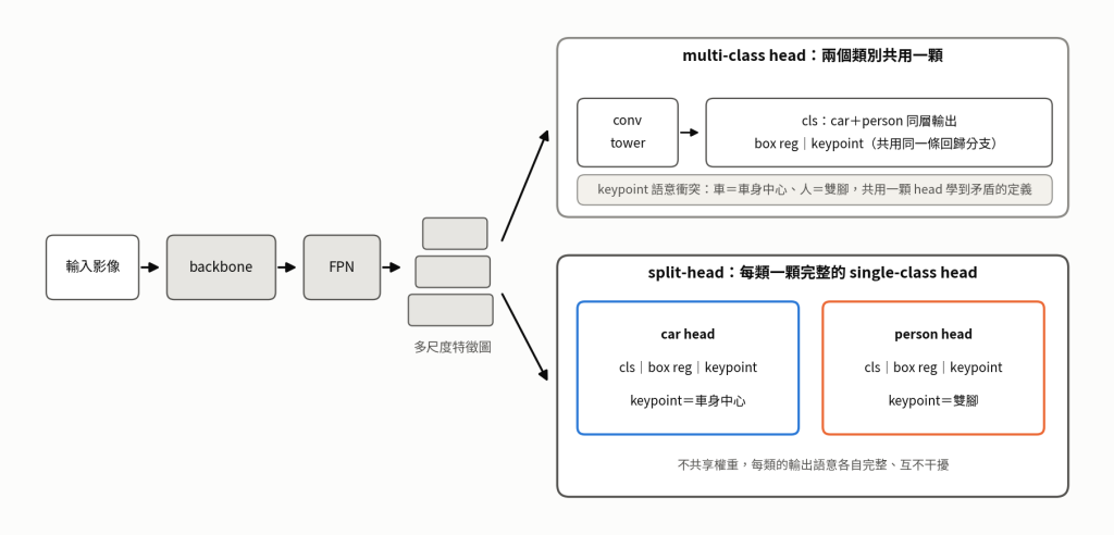 shared head 與 split-head 的架構對比
