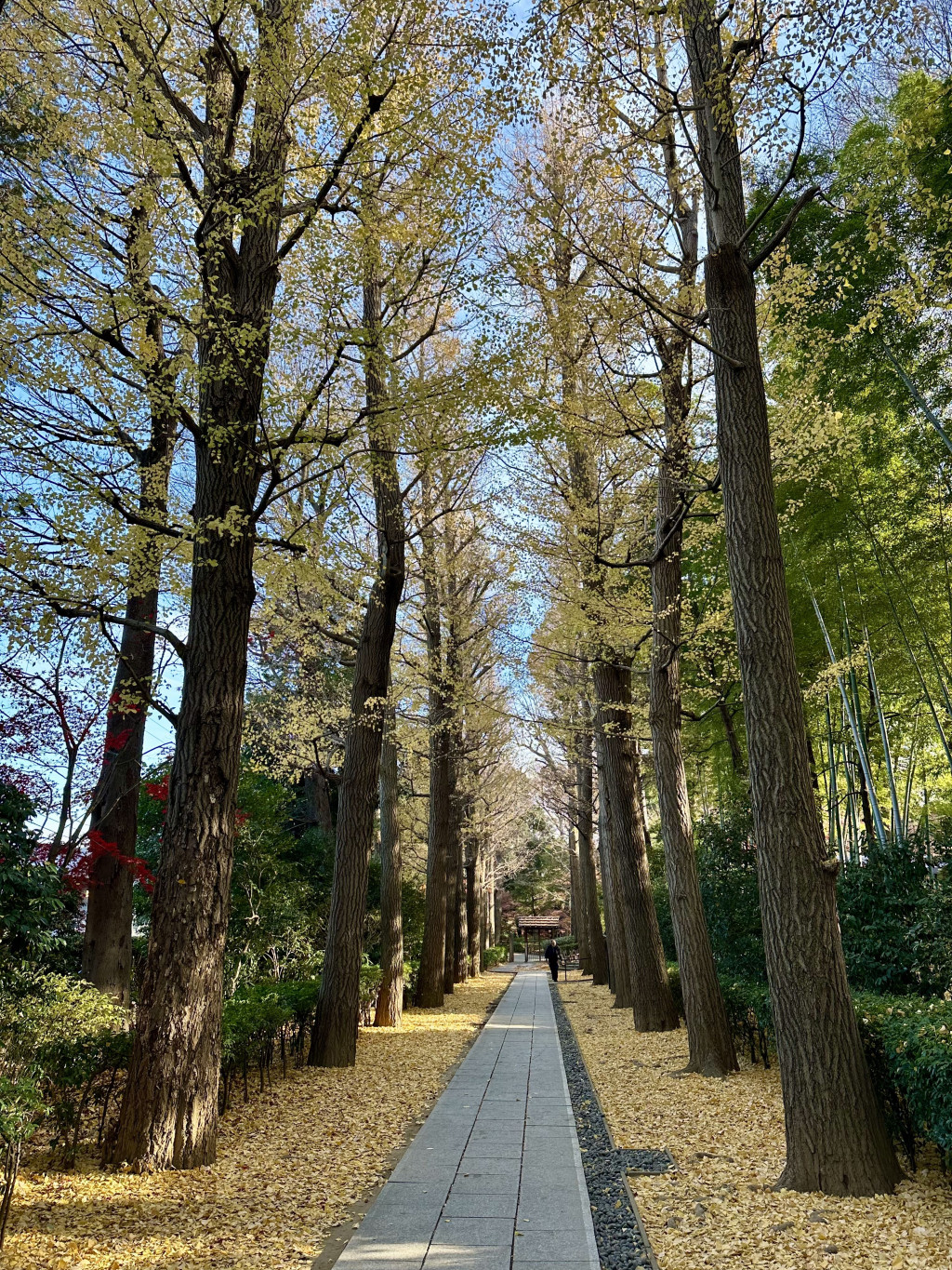 https://ithelp.ithome.com.tw/upload/images/20260928/201208221NLHOZELxj.jpg