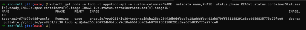Todo API Pod 為 Running 且容器 ready 為 true，image 與 imageID 都對應新版 digest