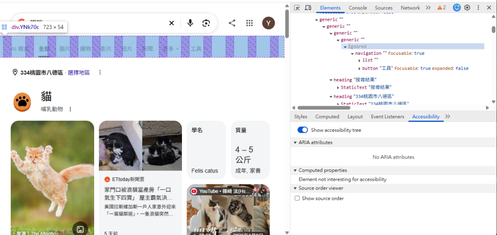 無障礙樹 Chrome DevTools