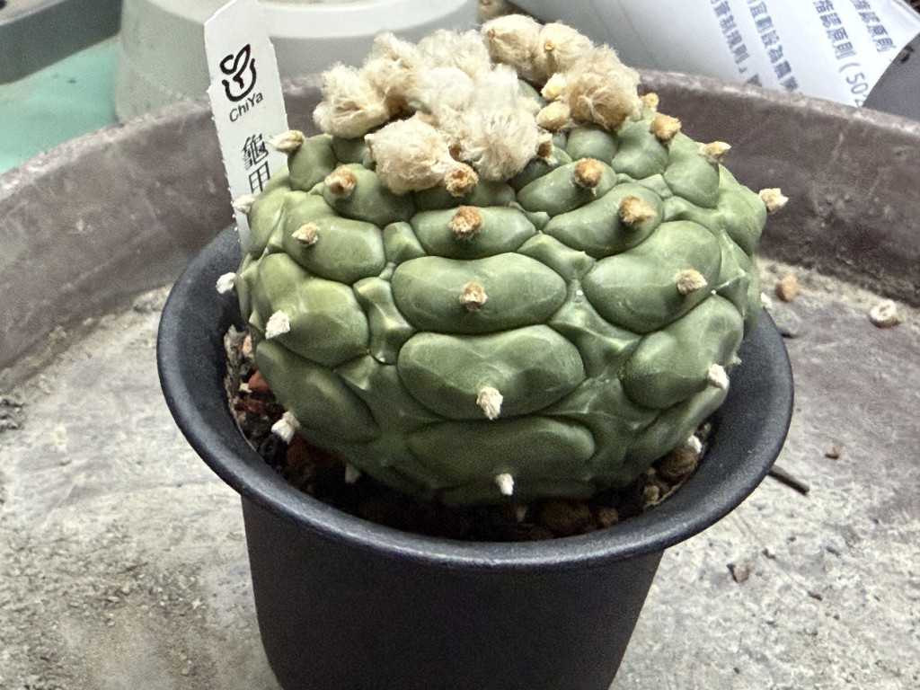 https://ithelp.ithome.com.tw/upload/images/20261018/20182319rHgguGN47G.jpg